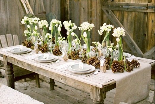 6. tobozok és illatos virágok