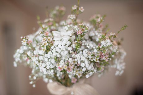 10. kedves kicsi virágok